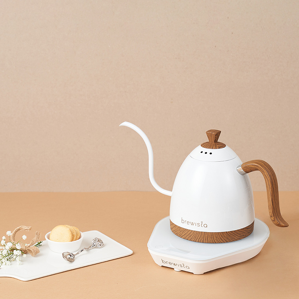 브뤼스타 아티산 구스넥 케틀 PRO 600ml 모던화이트