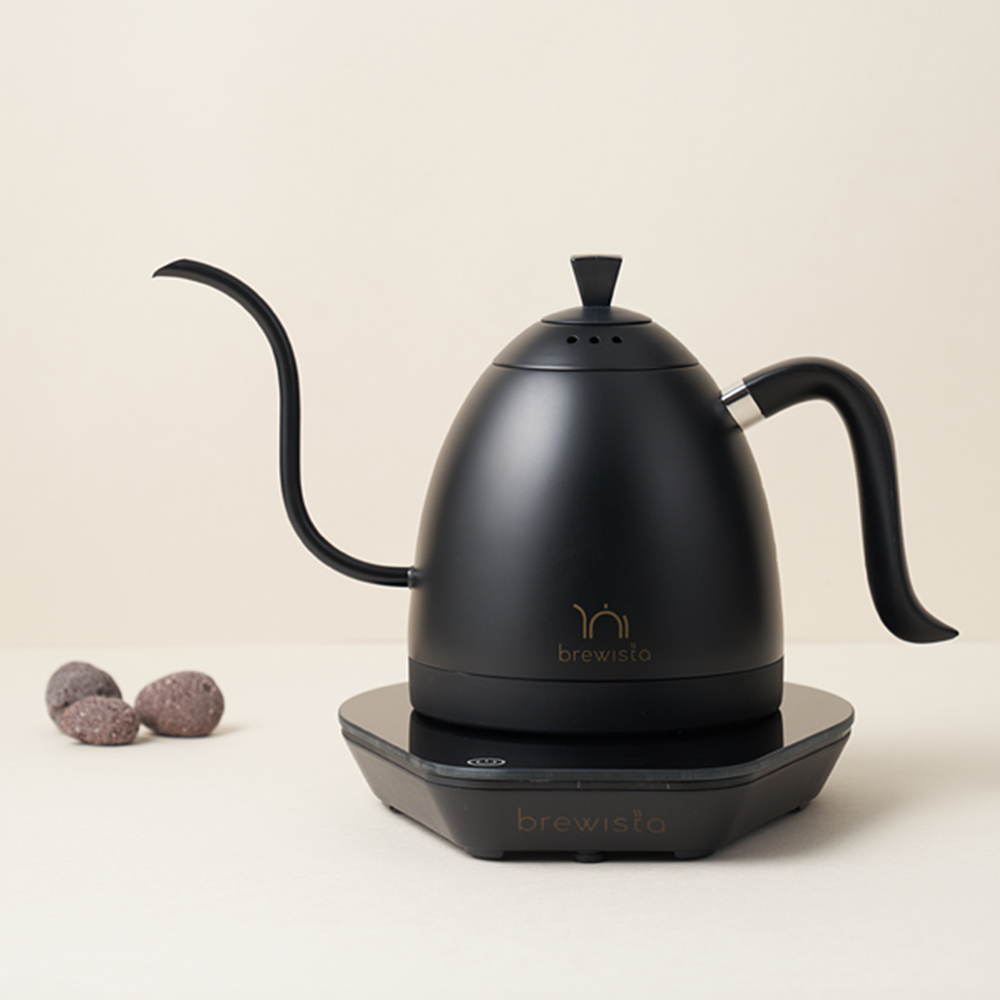브뤼스타 아티산 구스넥 케틀 PRO 600ml 올 블랙