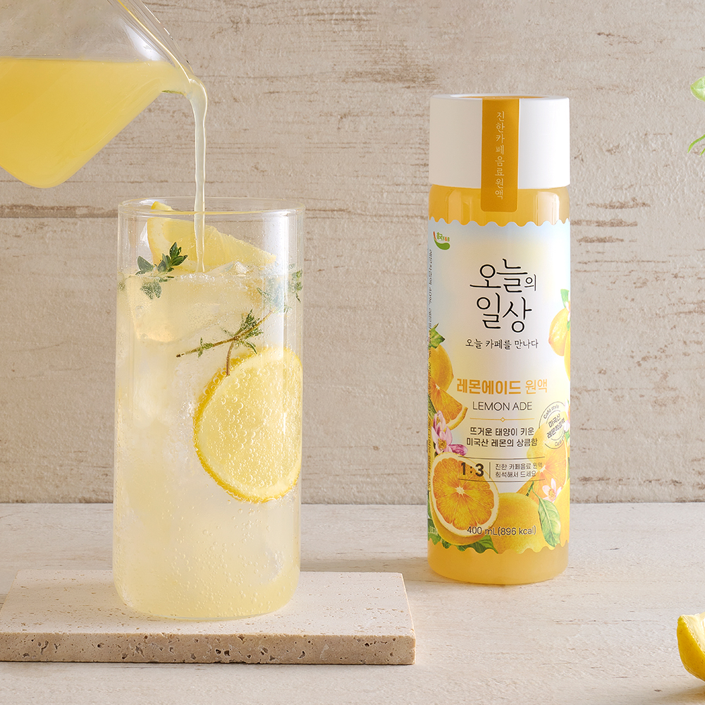 흥국에프엔비 오늘의일상 레몬 400ml X 3