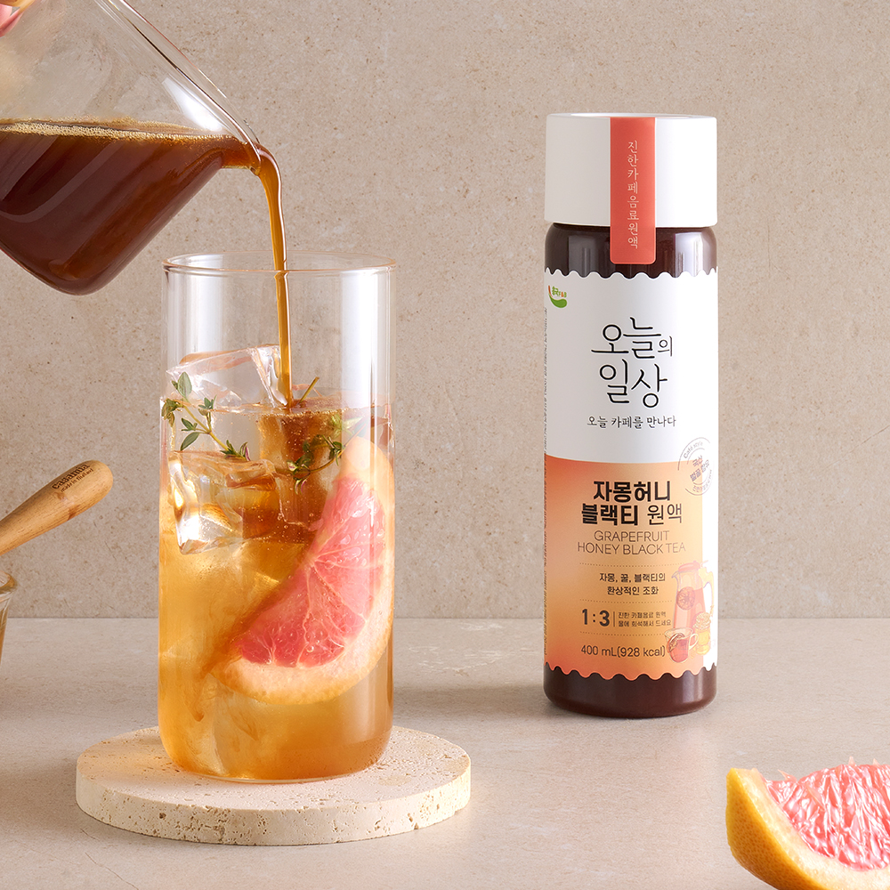 흥국에프엔비 오늘의일상 자몽허니 400ml X 3