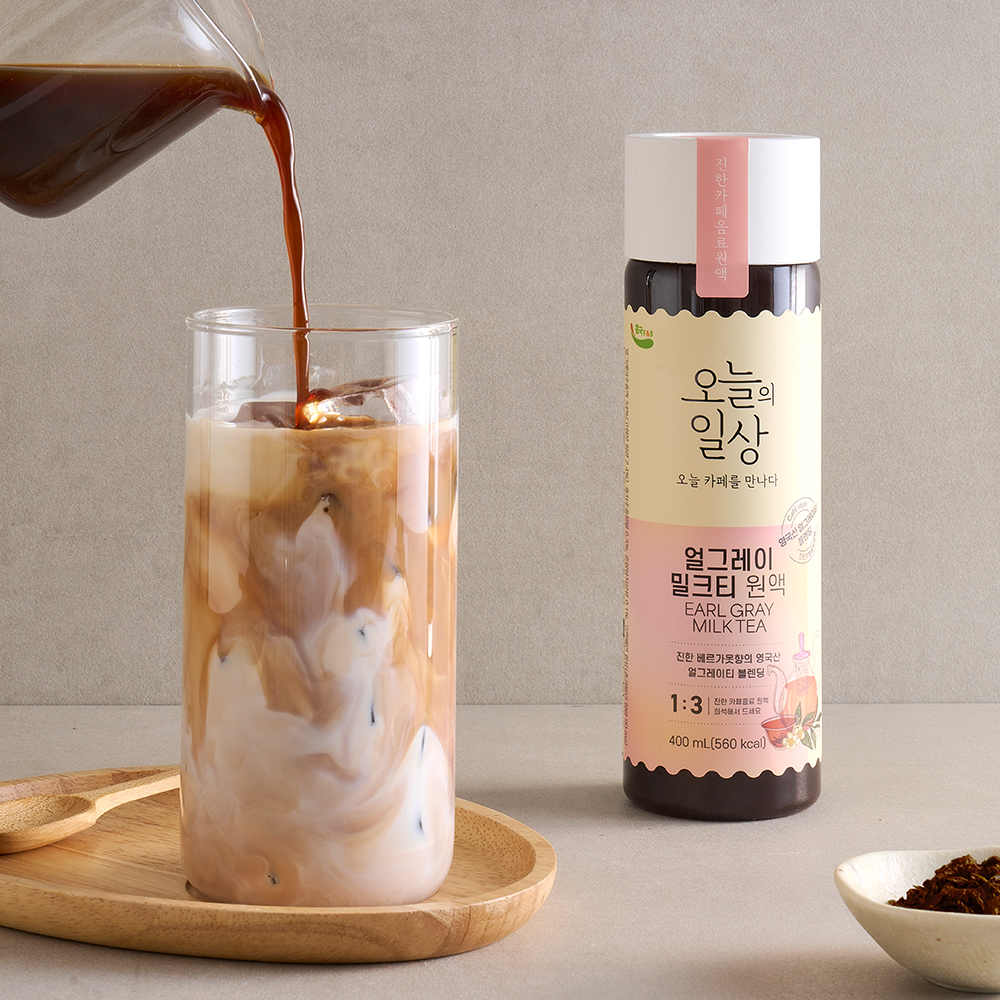흥국에프엔비 오늘의일상 얼그레이밀크티 400ml X 3