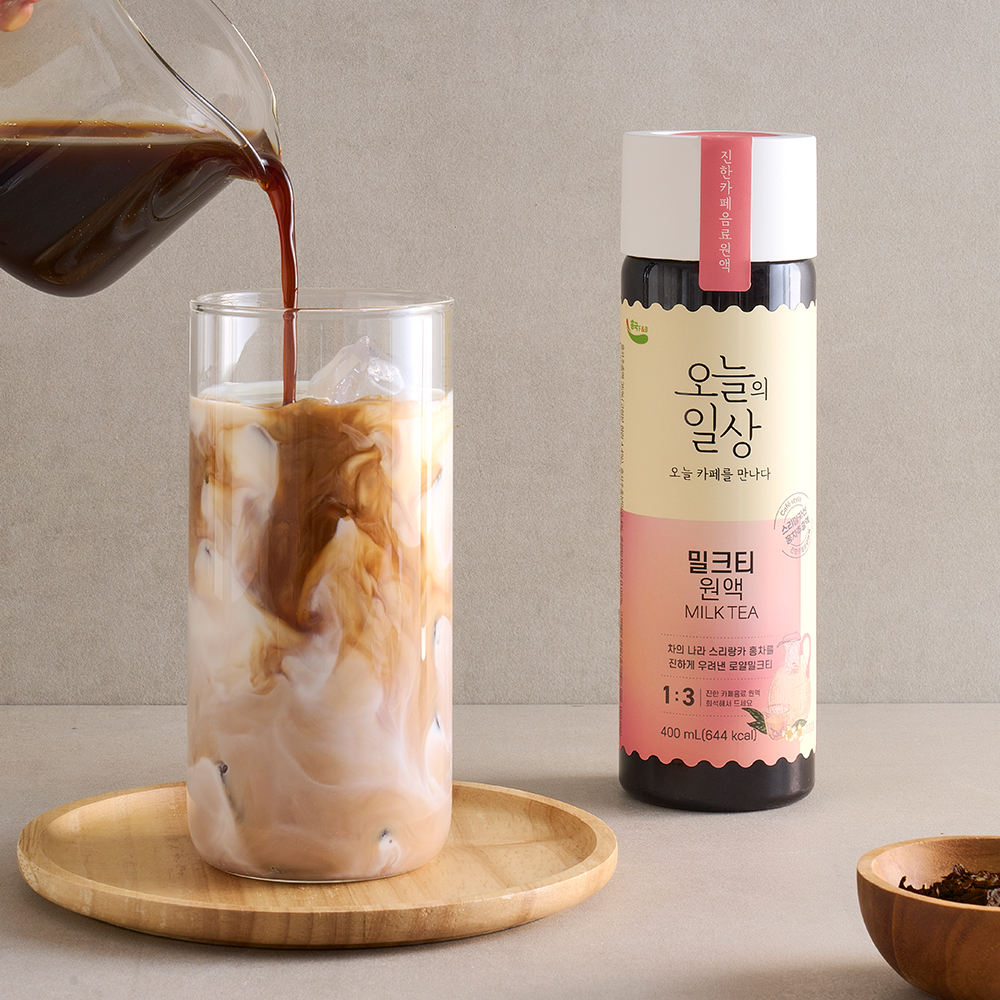흥국에프엔비 오늘의일상 밀크티 400ml X 3