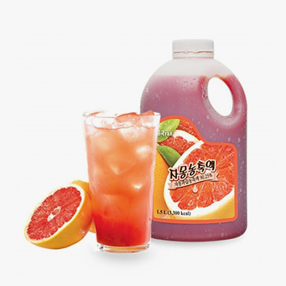 흥국에프엔비 자몽 농축액 1.5L X 2
