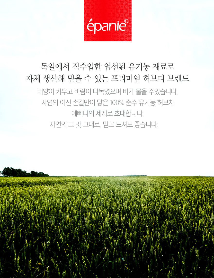 캐모마일
