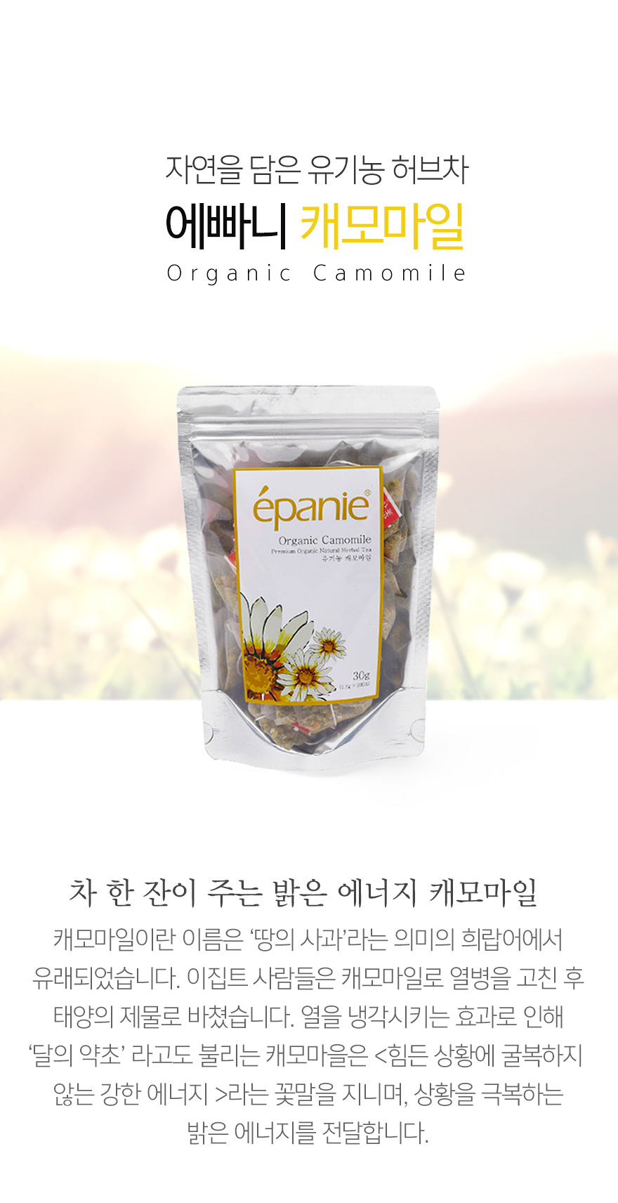 캐모마일