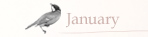 January