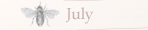 July