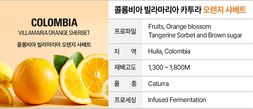 인퓨즈드 커피 샘플 1