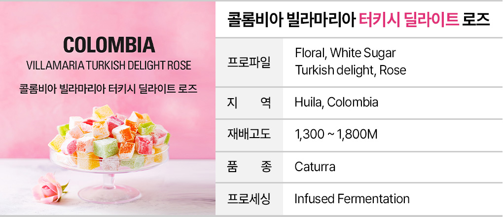 인퓨즈드 커피 샘플 2