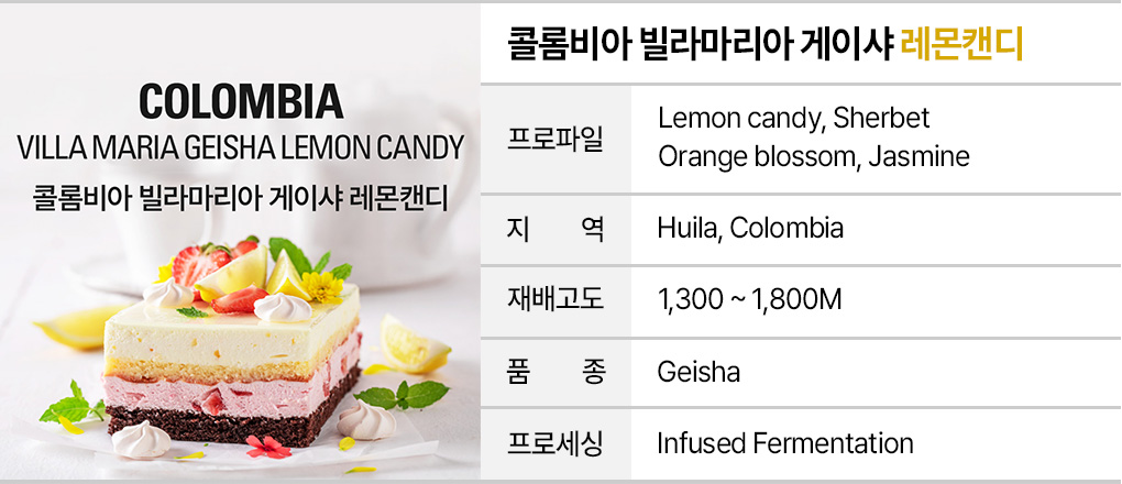 인퓨즈드 커피 샘플 3