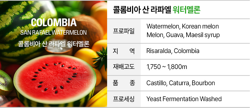 인퓨즈드 커피 샘플 4
