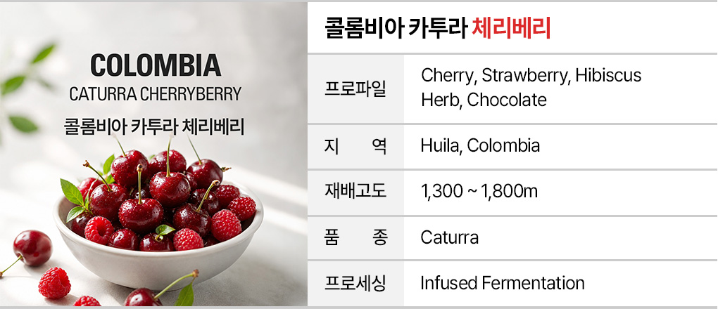 인퓨즈드 커피 샘플 6