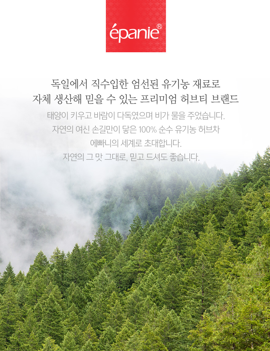 히비스커스