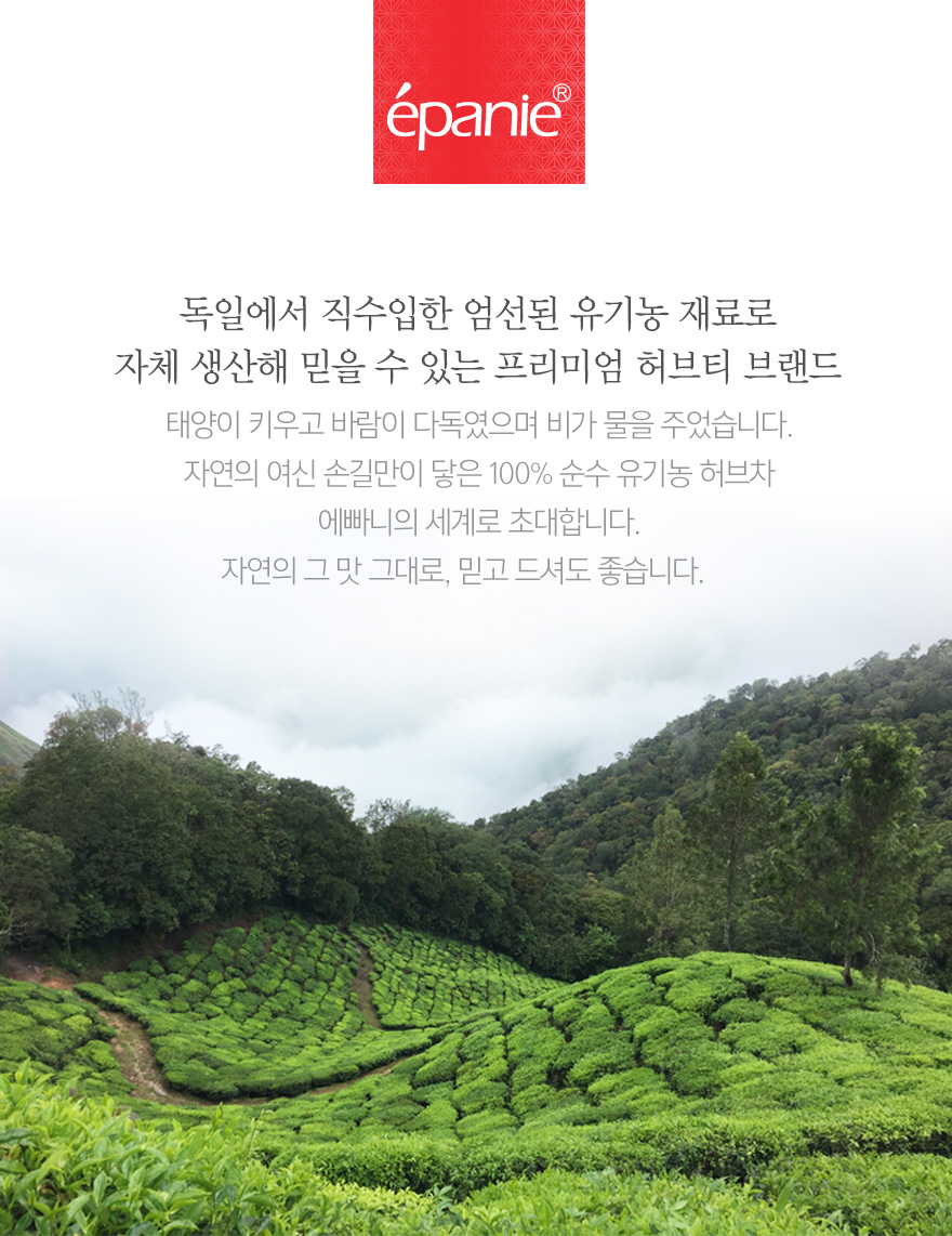 루이보스