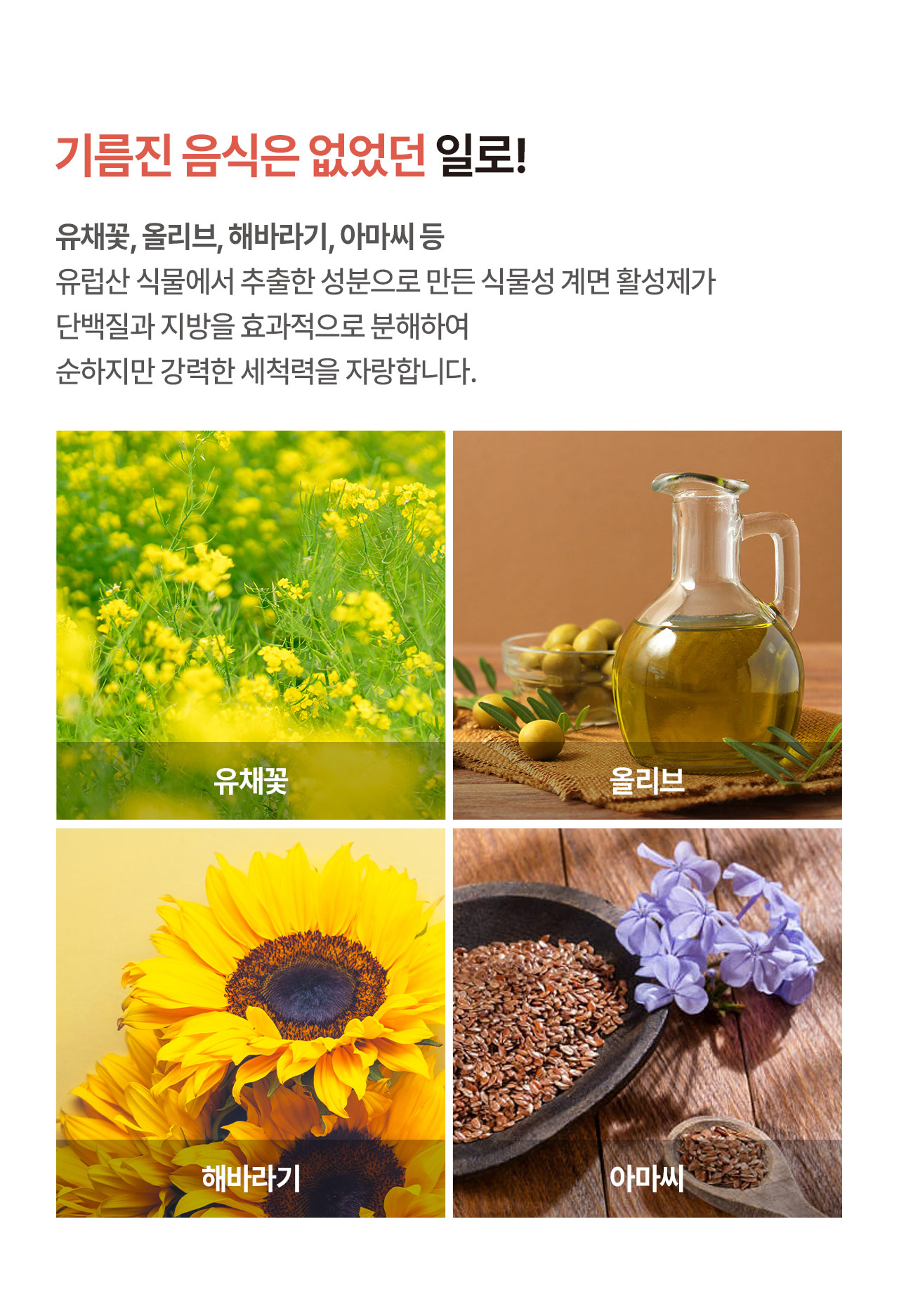 프로쉬 주방세제 레드오렌지