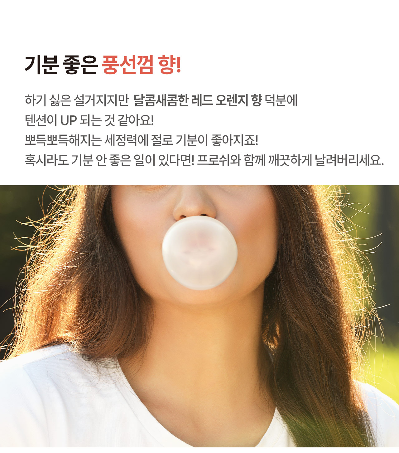 프로쉬 주방세제 레드오렌지